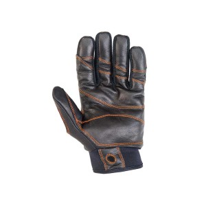 Rękawiczki Climbing Technology Progrip Gloves black M