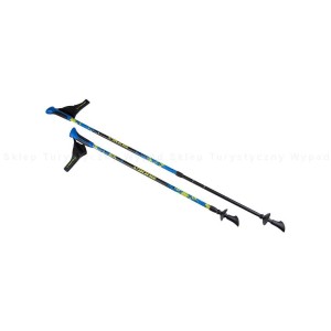 Kije nordic walking Viking Ruten Pro