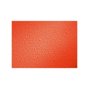 Worek Deuter Light Drypack 5 papaya