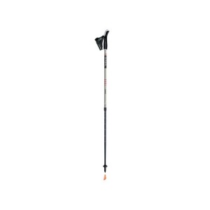 Kije nordic walking Gabel Stretch Ice