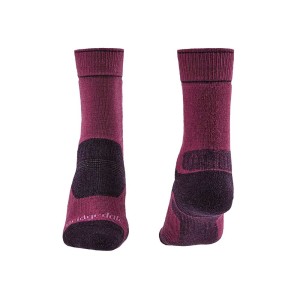 Skarpety Bridgedale Hike Midweight Merino E berry plum S 35-37