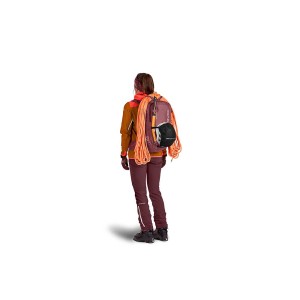 plecak-ortovox-haute-route-30-s-1.jpg