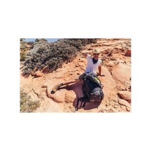 Plecak Gregory Baltoro Pro 85 Alaska Blue