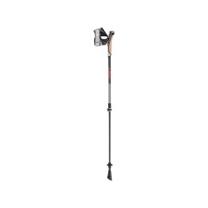 Kije nordic walking Leki Instructor Lite