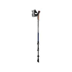 Kije nordic walking Leki Traveller Carbon