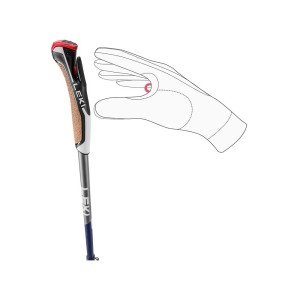 Kije nordic walking Leki Traveller Carbon