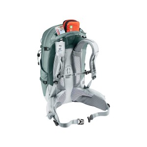 Plecak Deuter Trail Pro 31 SL teal-tin