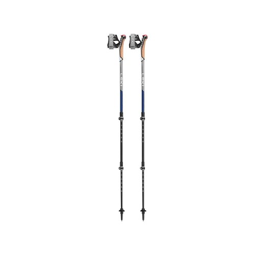Kije nordic walking Leki Traveller Carbon