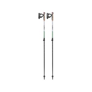Kije nordic walking Leki Spin Shark SL
