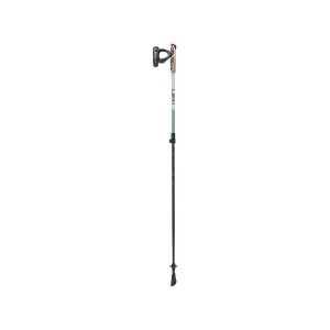 Kije nordic walking Leki Spin Shark SL