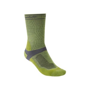 Skarpety Bridgedale MTB Mid Season Weight T2 Merino Sport Boot green S 36-39