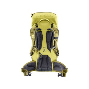 Plecak Deuter Climber sprout-linden