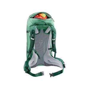 Plecak Deuter Futura 24 SL spearmint-seagreen