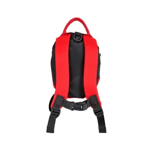 Plecak dziecięcy LittleLife Toddler Backpack Ladybird